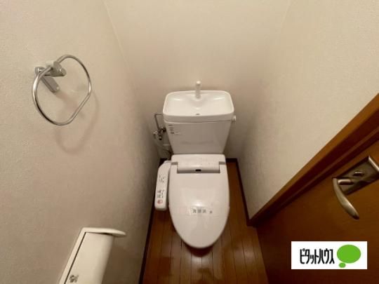 �y���̑��z�@�g�C��