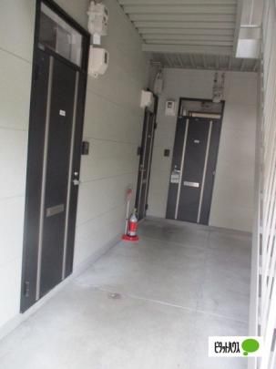 �y�����O�ρz�@�G���g�����X