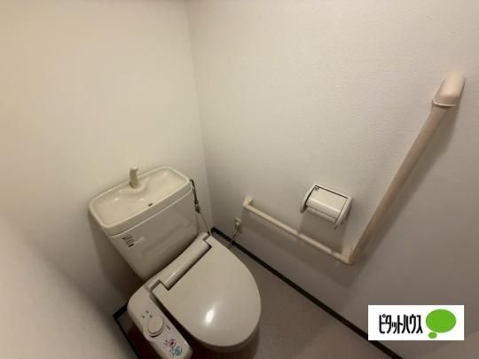 �y���̑��z�@�g�C��