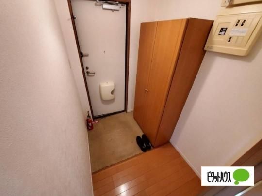 �y���̑��z�@����