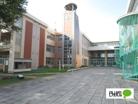 �y���Ӂz�@����s���V�����w�Z�F744m