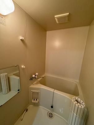 �y���̑��z�@�o�X�^�V�����[