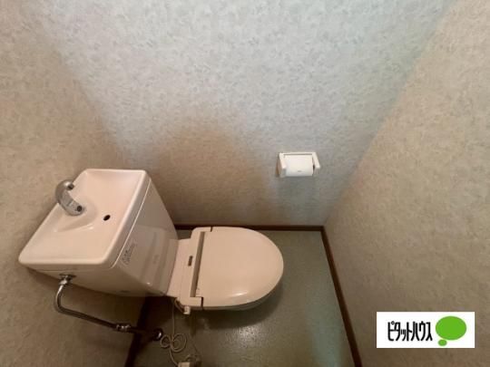 �y���̑��z�@�g�C��