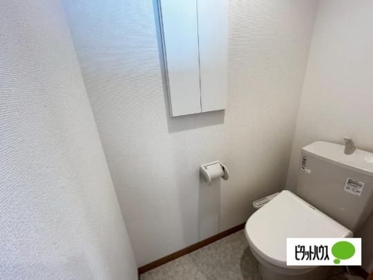 �y���̑��z�@�g�C��