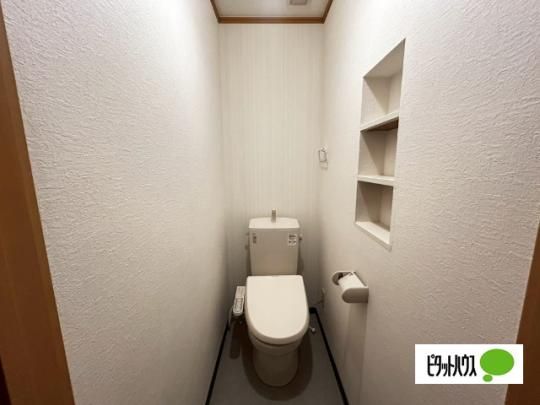 �y���̑��z�@�g�C��