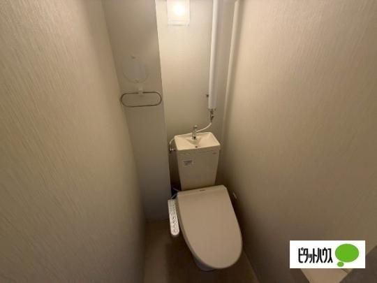 �y���̑��z�@�g�C��