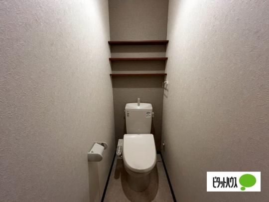 �y���̑��z�@�g�C��