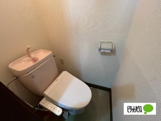 �y���̑��z�@����