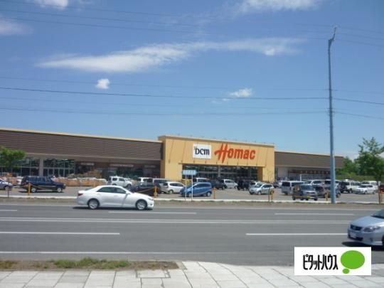 �y���Ӂz�@DCM�z�[�}�b�N�t���X�F913m