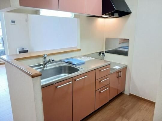 �y���̑��z�@���r���O