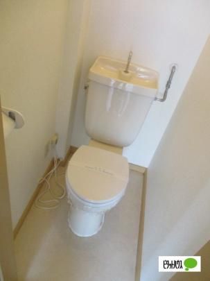 �y���̑��z�@�g�C��