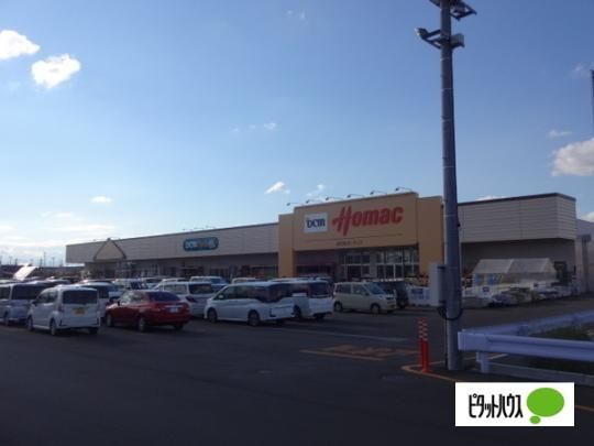 �y���Ӂz�@�z�[�}�b�N�p���[�Y�X�F1261m