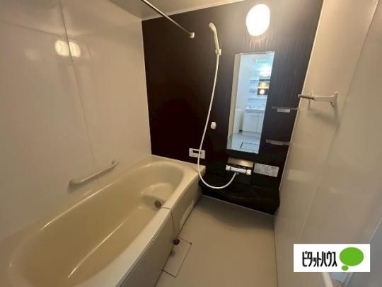 �y���̑��z�@�g�C��