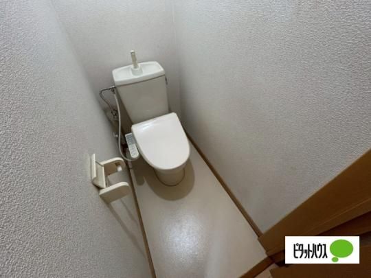 �y���̑��z�@�g�C��