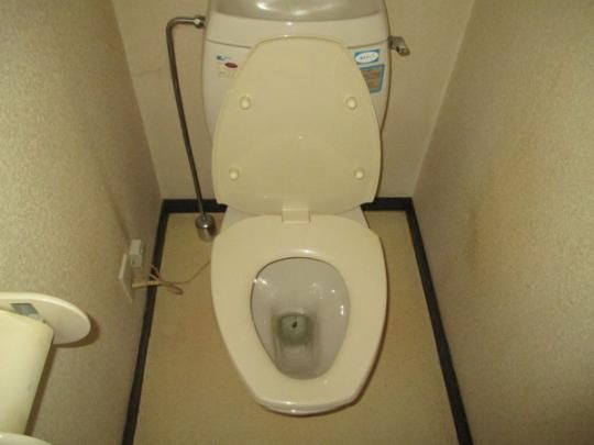 �y���̑��z�@�g�C��