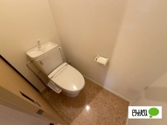 �y���̑��z�@�g�C��