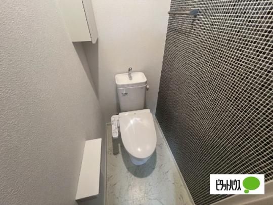 �y���̑��z�@�g�C��