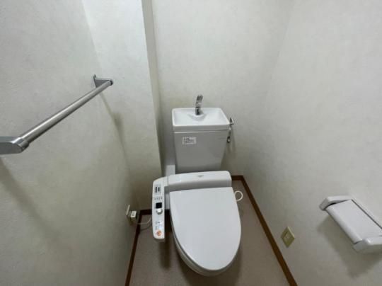�y���̑��z�@�g�C��