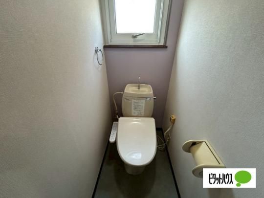 �y���̑��z�@�g�C��