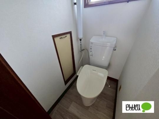 �y���̑��z�@�g�C��