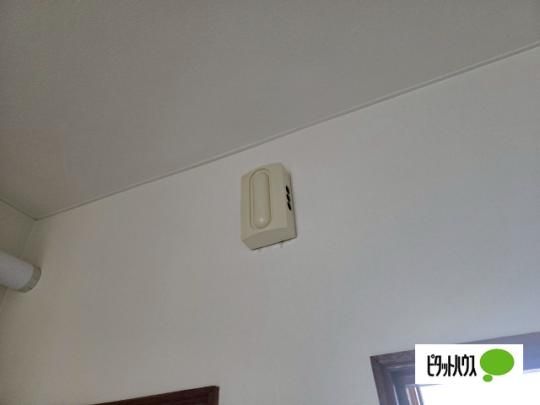 �y���̑��z�@�Z�L�����e�B