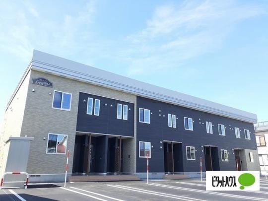 ���s�X�E�A�[�e��