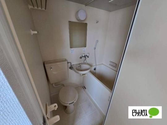 �y���̑��z�@����