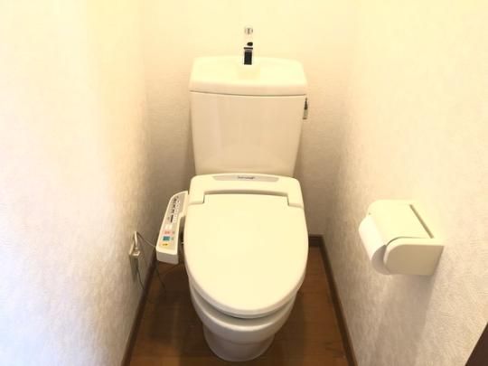 �y���̑��z�@�g�C��