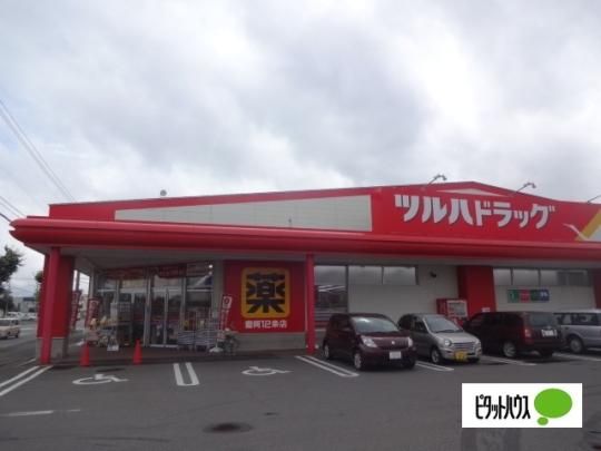 �y���Ӂz�@�c���n�h���b�O����7��X�F459m