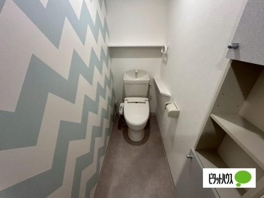 �y���̑��z�@�g�C��