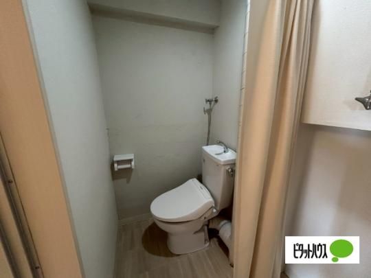 �y���̑��z�@�g�C��