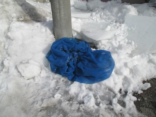 �y�����O�ρz�@���L����