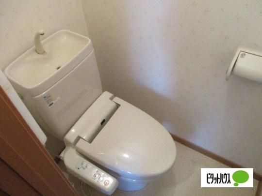 �y���̑��z�@�g�C��