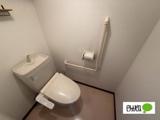 �y���̑��z�@�g�C��
