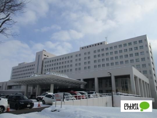 �y���Ӂz�@���������ȑ�w�F3519m