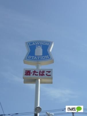 �y���Ӂz�@���[�\�����싳���O�X�F276m