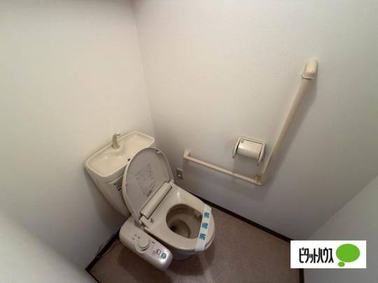 �y���̑��z�@�g�C��