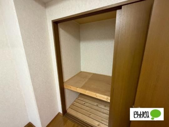 �y���̑��z�@���[