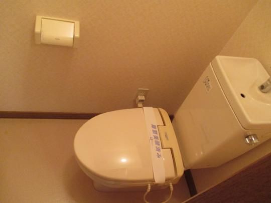 �y���̑��z�@�g�C��