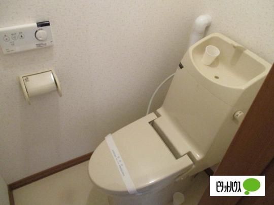 �y���̑��z�@�g�C��