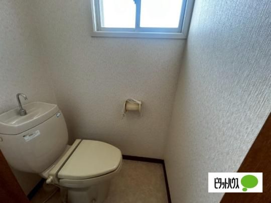 �y���̑��z�@�g�C��