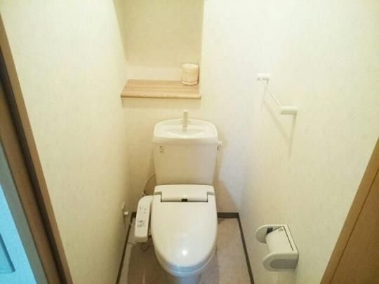 �y���̑��z�@�g�C��