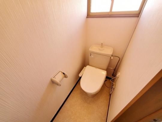 �y���̑��z�@�g�C��