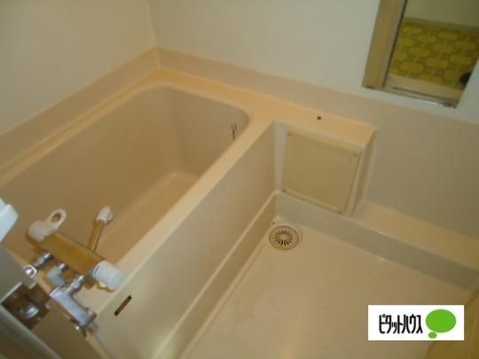 �y���̑��z�@�o�X�^�V�����[