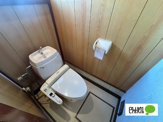 �y���̑��z�@�g�C��