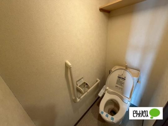 �y���̑��z�@�g�C��