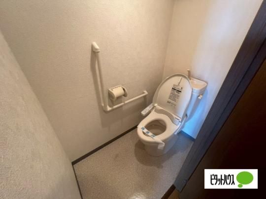 �y���̑��z�@�g�C��