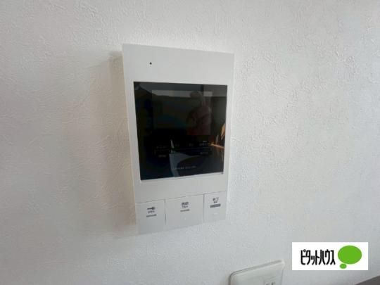�y���̑��z�@�Z�L�����e�B