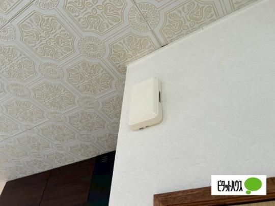 �y���̑��z�@�Z�L�����e�B