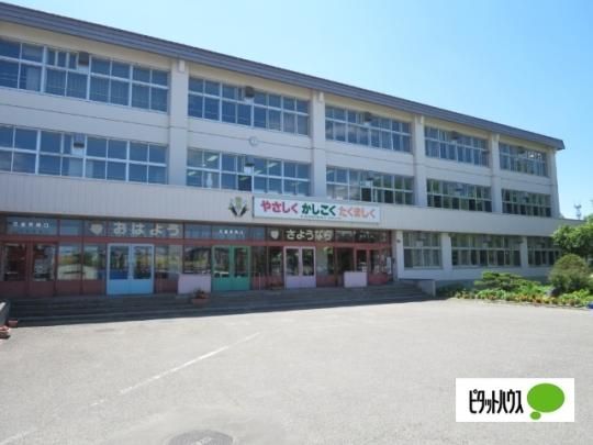 �y���Ӂz�@����s���������w�Z�F238m
